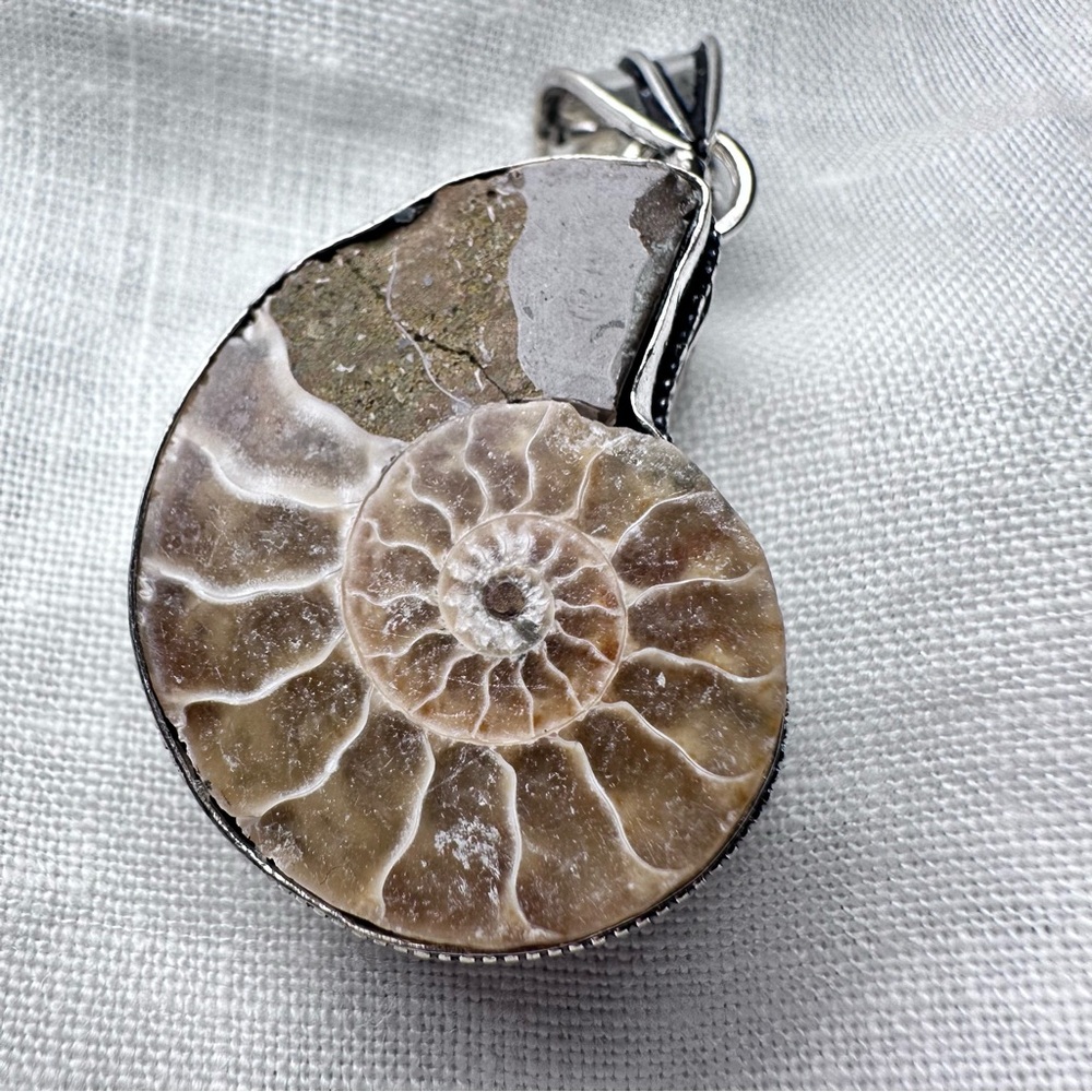 Hand Crafted Brown and Cream Ammonite Fossil Pendant Necklace
